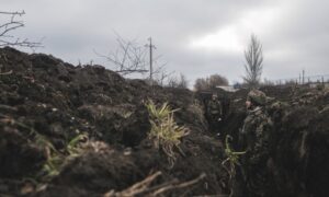 Соледар
